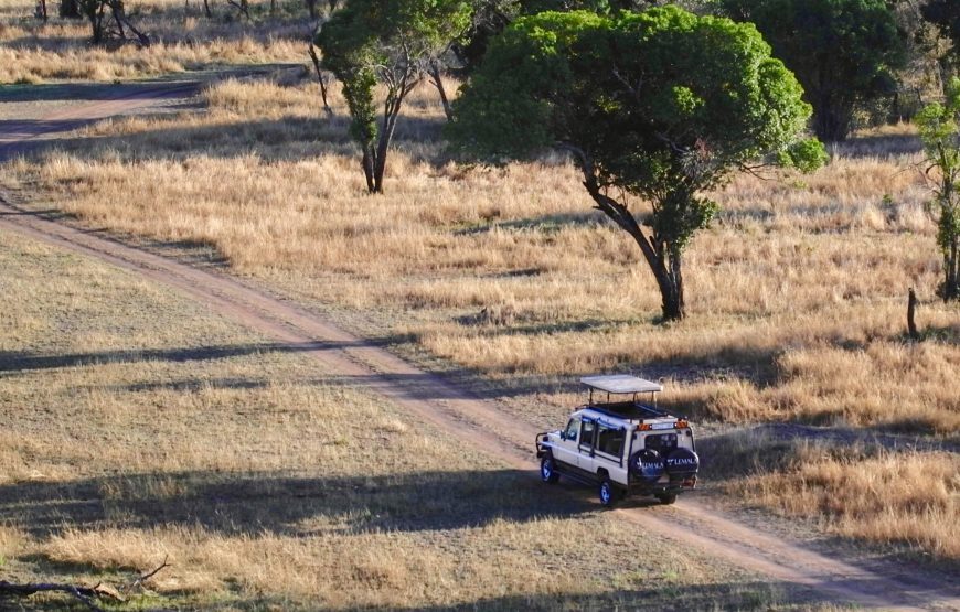 TANZANIA SPECIAL 08 DAY SAFARI