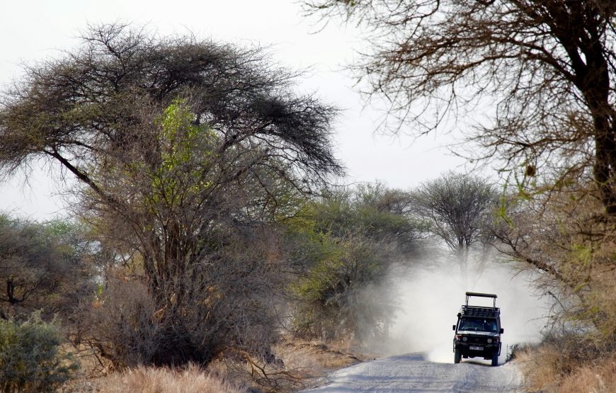 TANZANIA SPECIAL 08 DAY SAFARI