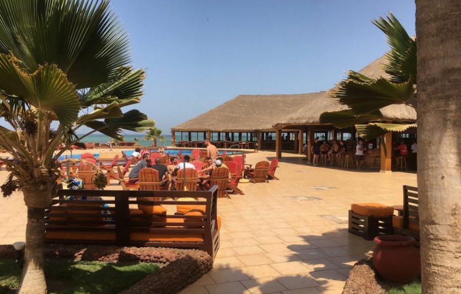 Royal Horizon Baobab