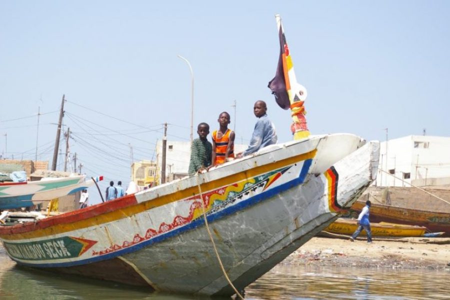 Tour of Saint Louis – 2 Days