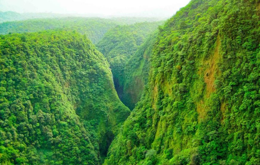 Bioko Explorer – 5 Days