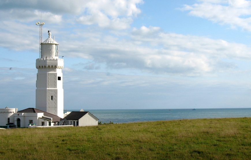 Gabon: Gorillas and More – 5 Days