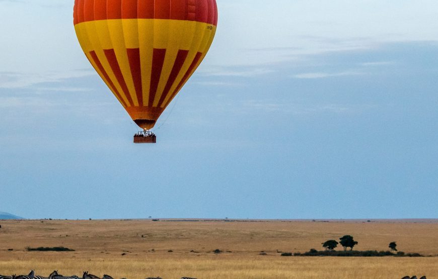 Kenya Big 5 Safari Special, 9 Days