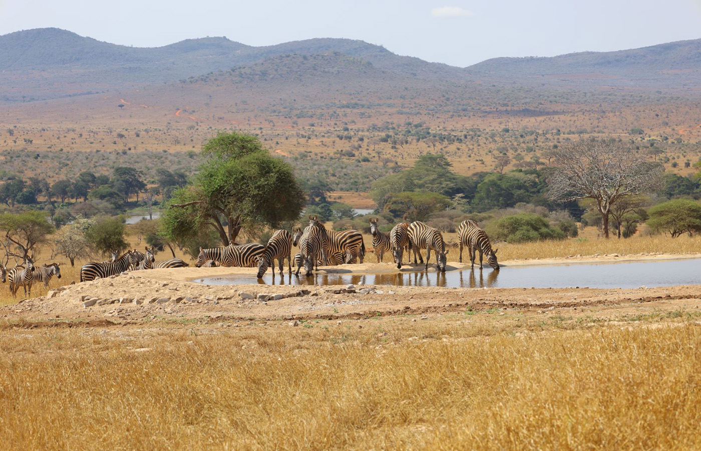 Day 7 TAITA HILLS WILDLIFE SANCTUARY (4 HRS)