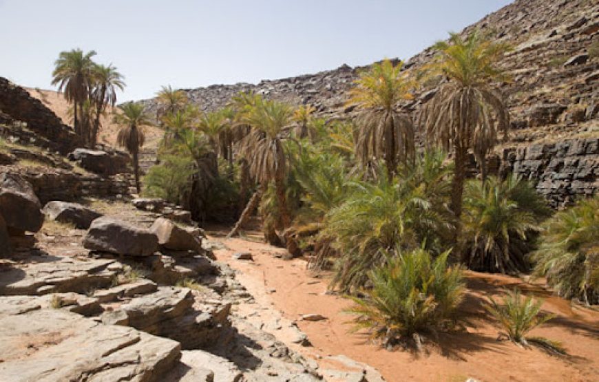 Explore Mauritania – 7 Days