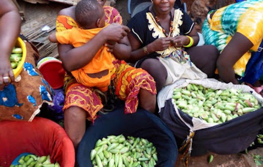 Guinea Bissau Island Adventure – 7 Days