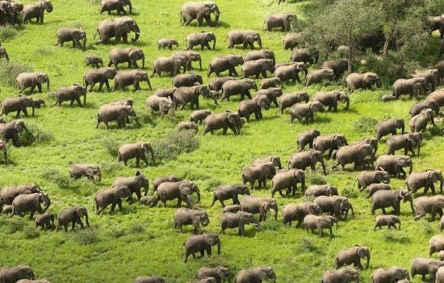 Tour of Chad – 10 Days