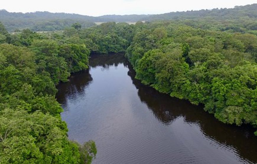 Journey to Loango National Park – 12 Days