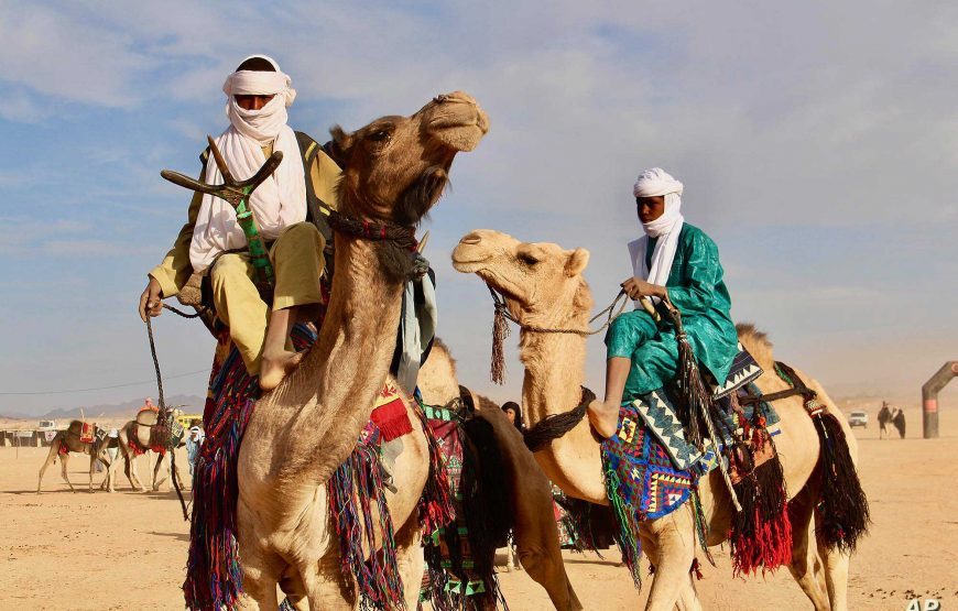 Air Mountains Tour of Niger – 8 Days