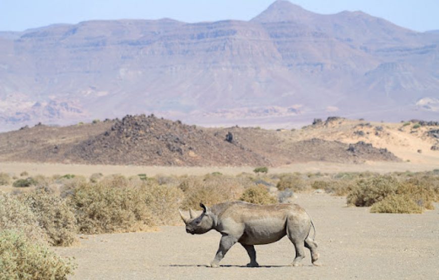 The Best Of Namibia – 14 Days