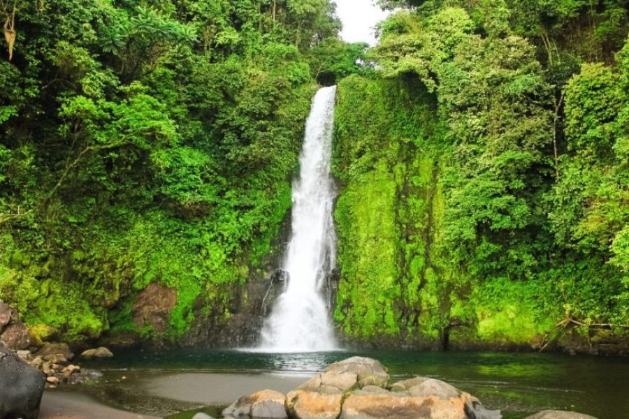 Bioko Explorer – 5 Days