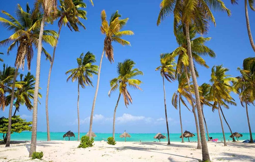 Kenya Safari & Zanzibar Beach Experience – 10 Days