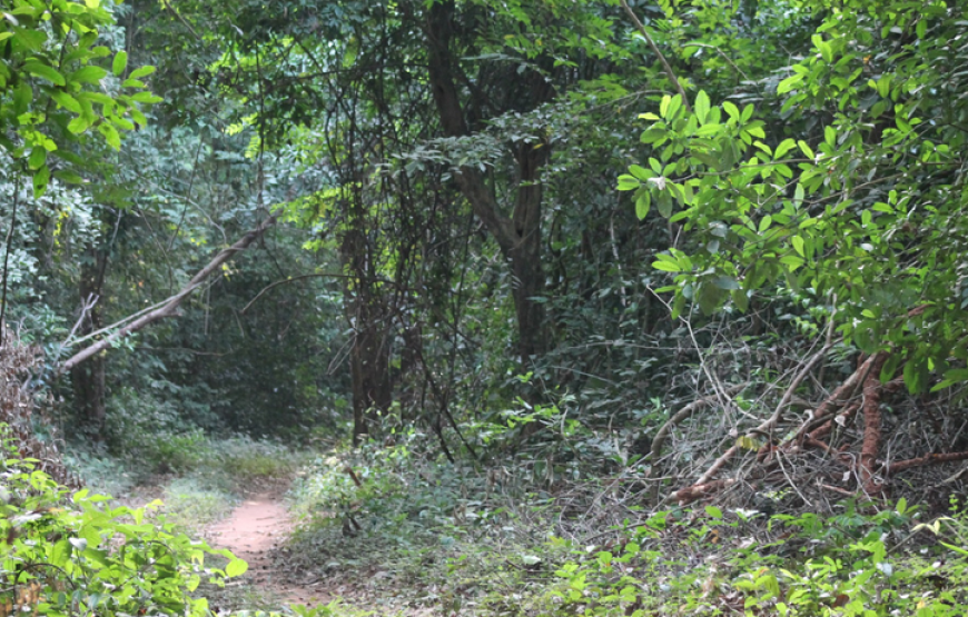 Guinea Bissau – Islands and Wildlife – 10 Days