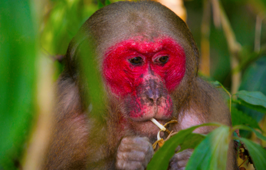 Historic Sierra Leone – 6 Days