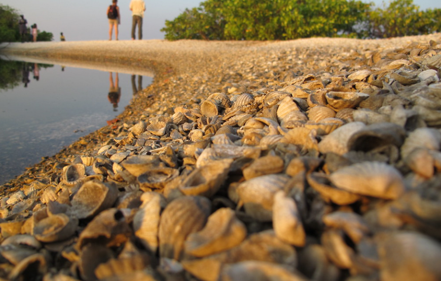 The Best of Senegal – 8 Days